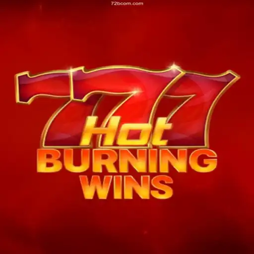 HotBurningWins: An Immersive Casino Experience
